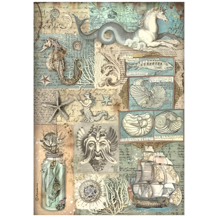 DFSA4813 STAMPERIA ΤΡΑΓΟΎΔΙΑ ΤΗΣ ΘΆΛΑΣΣΑΣ DECOUPAGE ΧΑΡΤΊ Α4 - DFSA4813 - Εικόνα 1