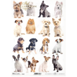 ITD COLLECTION DECOUPAGE ΡΙΖΌΧΑΡΤΟ A4 - R2147