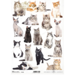 ITD COLLECTION DECOUPAGE ΡΙΖΌΧΑΡΤΟ A4 - R2146