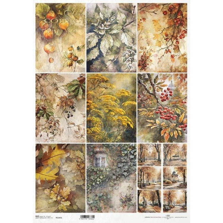 571143 ITD COLLECTION DECOUPAGE ΡΙΖΌΧΑΡΤΟ A3 - R1143L - Εικόνα 1