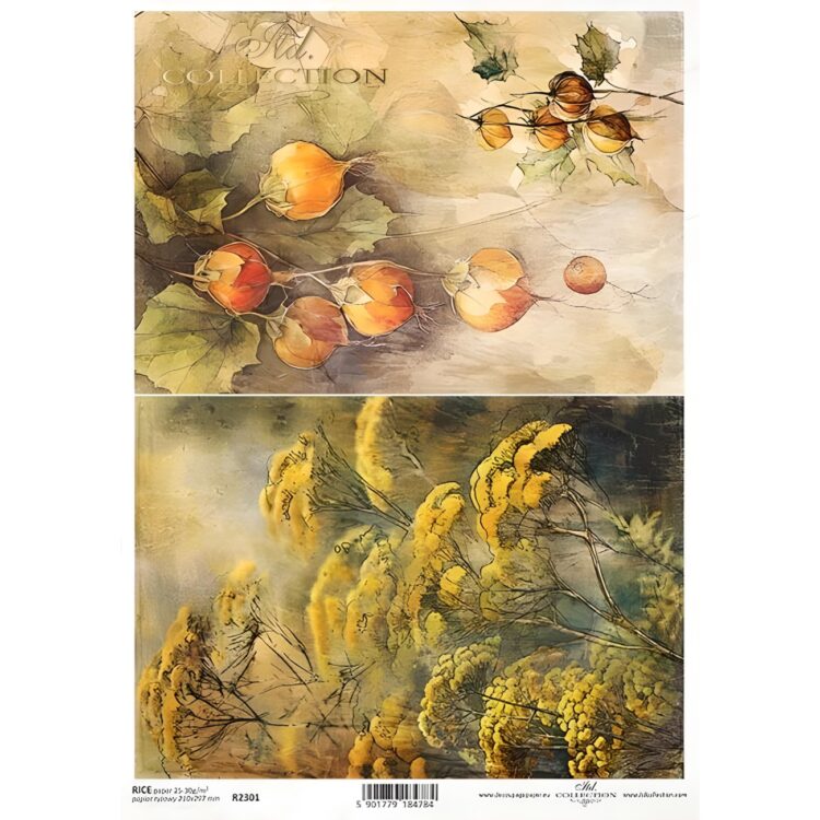 ITD COLLECTION DECOUPAGE ΡΙΖΌΧΑΡΤΟ A4 - R2301 - Εικόνα 1