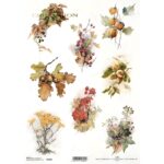 ITD COLLECTION DECOUPAGE ΡΙΖΌΧΑΡΤΟ A4 - R2303