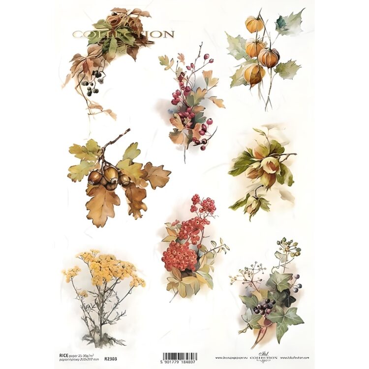 ITD COLLECTION DECOUPAGE ΡΙΖΌΧΑΡΤΟ A4 - R2303 - Εικόνα 1