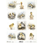 ITD COLLECTION DECOUPAGE ΡΙΖΌΧΑΡΤΟ A4 - R2347