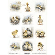 ITD COLLECTION DECOUPAGE ΡΙΖΌΧΑΡΤΟ A4 - R2347