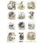 ITD COLLECTION DECOUPAGE ΡΙΖΌΧΑΡΤΟ A4 - R2348