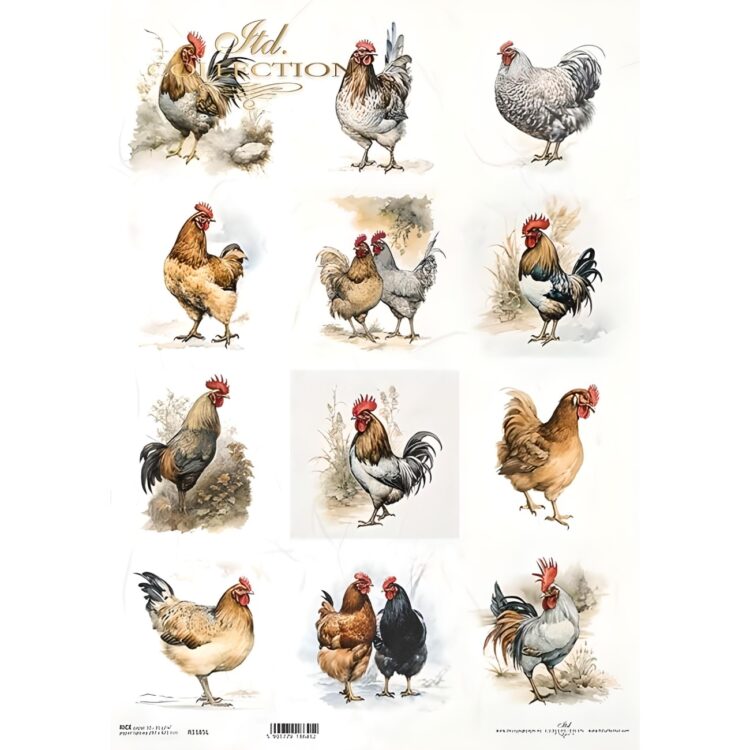 597185 ITD COLLECTION DECOUPAGE ΡΙΖΌΧΑΡΤΟ A3 - R1185L - Εικόνα 1