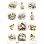 ITD COLLECTION DECOUPAGE ΡΙΖΌΧΑΡΤΟ A3 - R1186L