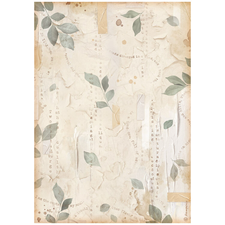 486600 STAMPERIA SECRET DIARY ΡΙΖΌΧΑΡΤΟ A4 - DFSA4866 - Εικόνα 1