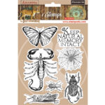 ΓΡΑΜΜΑΤΟΣΗΜΑ STAMPERIA AMAZONIA 14/18CM WTKCC193