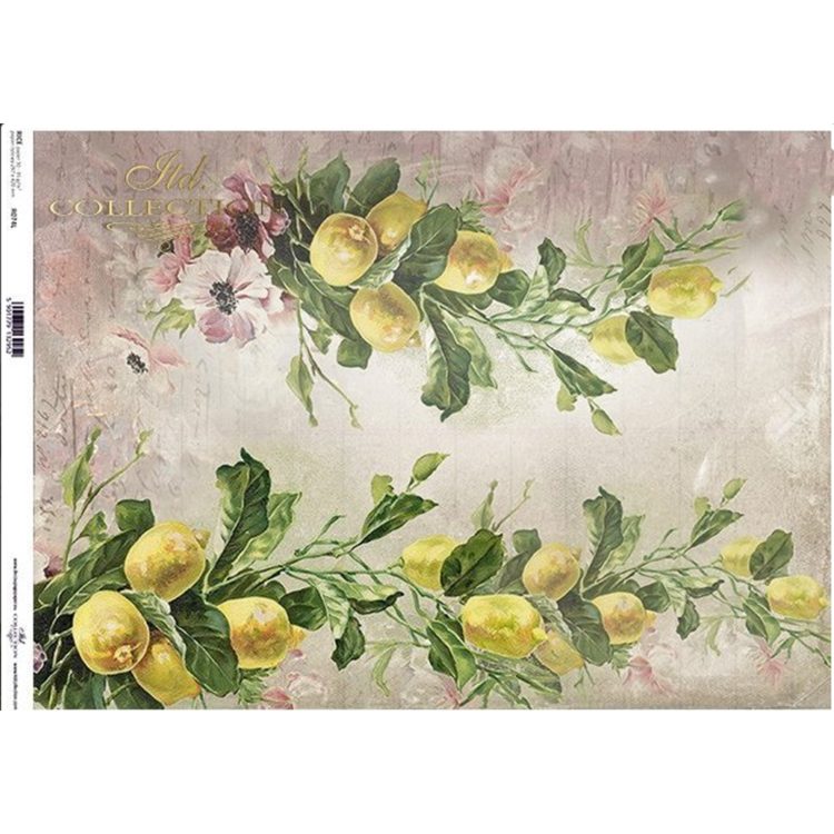007403 ITD COLLECTION DECOUPAGE ΡΙΖΌΧΑΡΤΟ A3 - R0074L - Εικόνα 1