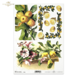 ITD COLLECTION DECOUPAGE ΡΙΖΌΧΑΡΤΟ A4 - R0432