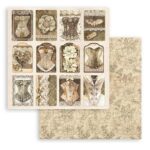 ΧΑΡΤΊ STAMPERIA OLD LACE BLOCK 20.3/20.3 CM - SBBS116 - Εικόνα 8