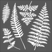 STAMPERIA MEDIA STENCIL - ΠΡΌΤΥΠΟ 18 X 18 CM - KSTDQ28
