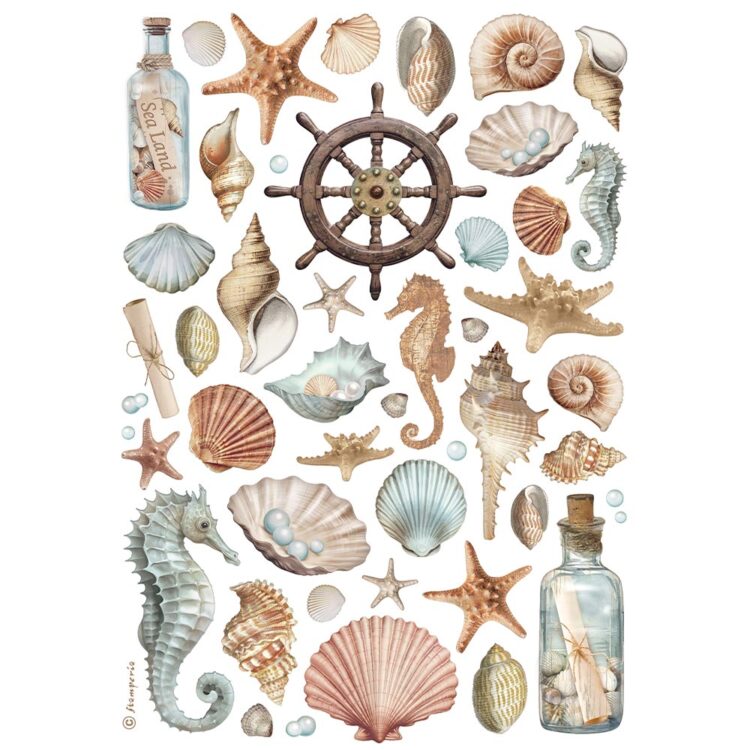 full_DFSA4998_1 STAMPERIA SHELLS DECOUPAGE ΡΙΖΌΧΑΡΤΟ A4-DFSA4998 - Εικόνα 1
