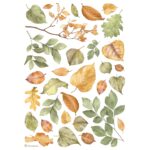 STAMPERIA ΦΎΛΛΑ DECOUPAGE ΡΙΖΌΧΑΡΤΟ A4-DFSA4999