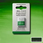 W&N ΒΑΦΉ ΑΚΟΥΑΡΈΛΑΣ PROFESSIONAL H/PAN- HOOKER'S GREEN 0101311