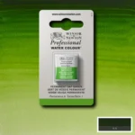 W&N ΒΑΦΉ ΑΚΟΥΑΡΈΛΑΣ PROFESSIONAL H/PAN - SAP GREEN 0101503