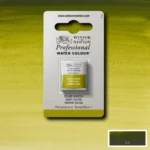 W&N ΒΑΦΉ ΑΚΟΥΑΡΈΛΑΣ PROFESSIONAL H/PAN - ΛΑΔΊ ΠΡΆΣΙΝΟ