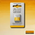 W&N ΒΑΦΉ ΑΚΟΥΑΡΈΛΑΣ PROFESSIONAL H/PAN - RAW SIENNA