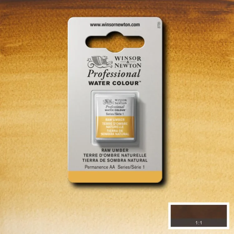 101554 W&N ΒΑΦΉ ΑΚΟΥΑΡΈΛΑΣ PROFESSIONAL H/PAN - RAW UMBER - Εικόνα 1