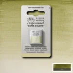 W&N ΒΑΦΉ ΑΚΟΥΑΡΈΛΑΣ PROFESSIONAL H/PAN - TERRE VERTE YELLOW SH