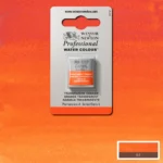 W&N ΒΑΦΉ ΑΚΟΥΑΡΈΛΑΣ PROFESSIONAL H/PAN - ΔΙΑΦΑΝΈΣ ΠΟΡΤΟΚΑΛΊ