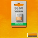 W&N ΒΑΦΉ ΑΚΟΥΑΡΈΛΑΣ PROFESSIONAL H/PAN - ΠΟΡΤΟΚΑΛΊ ΧΩΡΊΣ ΚΆΔΜΙΟ