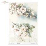 ITD COLLECTION DECOUPAGE ΡΙΖΌΧΑΡΤΟ A3 - R1424L