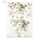 ITD COLLECTION DECOUPAGE ΡΙΖΌΧΑΡΤΟ A4 - R2591
