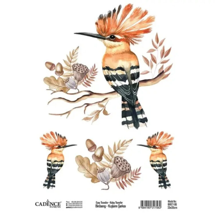 ΔΙΑΚΟΣΜΗΤΙΚΟ ΜΕΤΑΦΟΡΑΣ CADENCE 25X35CM - BRET-06 - Εικόνα 1