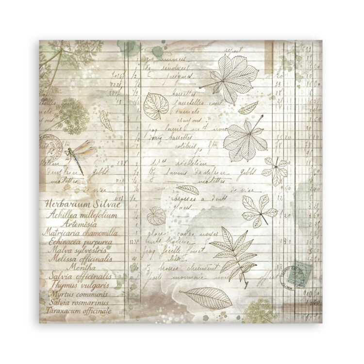 STAMPERIA HERBARIUM BLOCK 30.5/30.5 CM - SBBL179 - Εικόνα 31