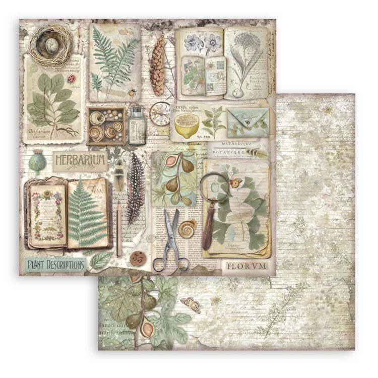 STAMPERIA HERBARIUM BLOCK 30.5/30.5 CM - SBBL179 - Εικόνα 15