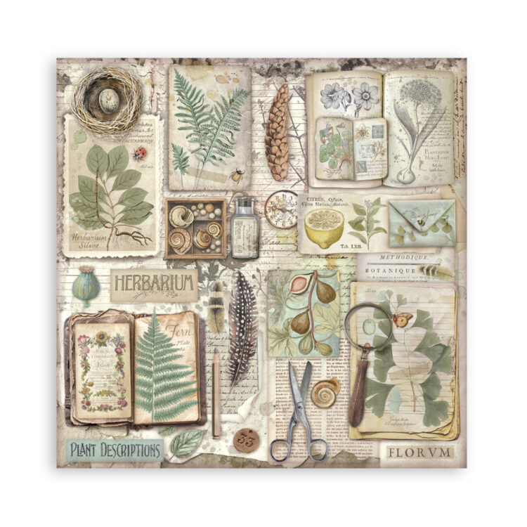 STAMPERIA HERBARIUM BLOCK 30.5/30.5 CM - SBBL179 - Εικόνα 16