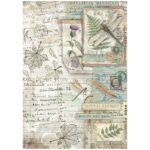 STAMPERIA HERBARIUM DECOUPAGE ΡΥΖΟΧΑΡΤΟ Α4 - DFSA41078