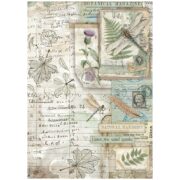 STAMPERIA HERBARIUM DECOUPAGE ΡΥΖΟΧΑΡΤΟ Α4 - DFSA41078