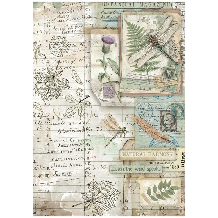 full_DFSA41078_1 STAMPERIA HERBARIUM DECOUPAGE ΡΥΖΟΧΑΡΤΟ Α4 - DFSA41078 - Εικόνα 1