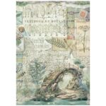 STAMPERIA HERBARIUM DECOUPAGE ΡΙΖΟΧΑΡΤΟΧΑΡΤΟ A4 - DFSA41079