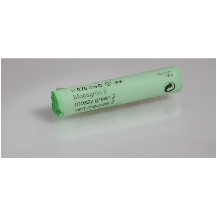 4012380017062 SCHMINCKE ΞΗΡΌ ΠΑΣΤΈΛ MOSSY GREEN 2, O 17076079 - Εικόνα 1