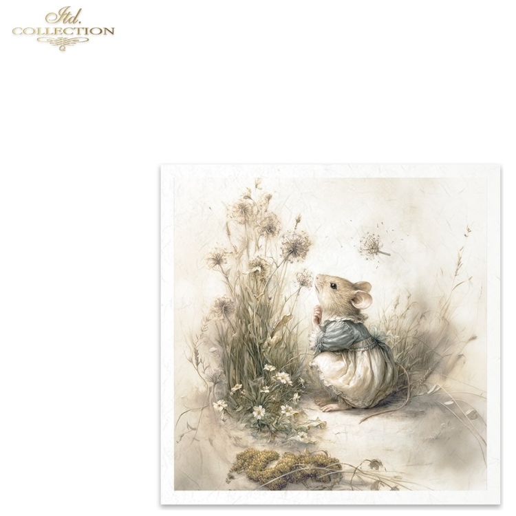 ITD COLLECTION MINI ΡΙΖΟΧΑΡΤΟ K-CT 6ΤΜΧ 14.8X14.8CM - RSM236 - Εικόνα 5